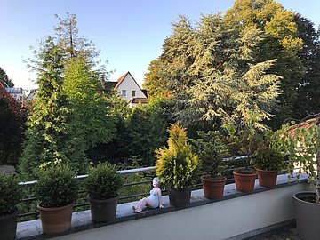 Bild 3 des Objektes in Essen 