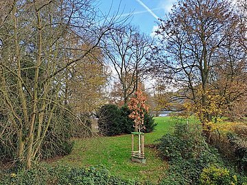 Bild 7 des Objektes in Essen 